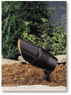 Accent Trees and Shrubs in Chicagoland