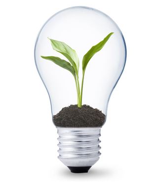 Energy Saving Lights